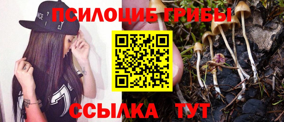 Бузулук  Галлюциногенные грибы мицелий  Вход с VPN 